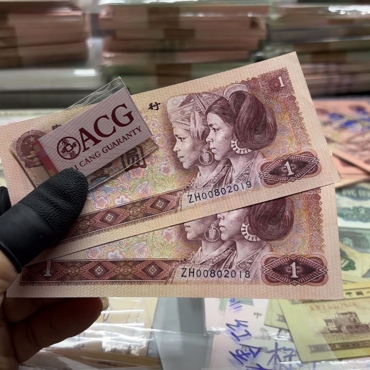 801，红金龙，2张，补号，朦胧号———————