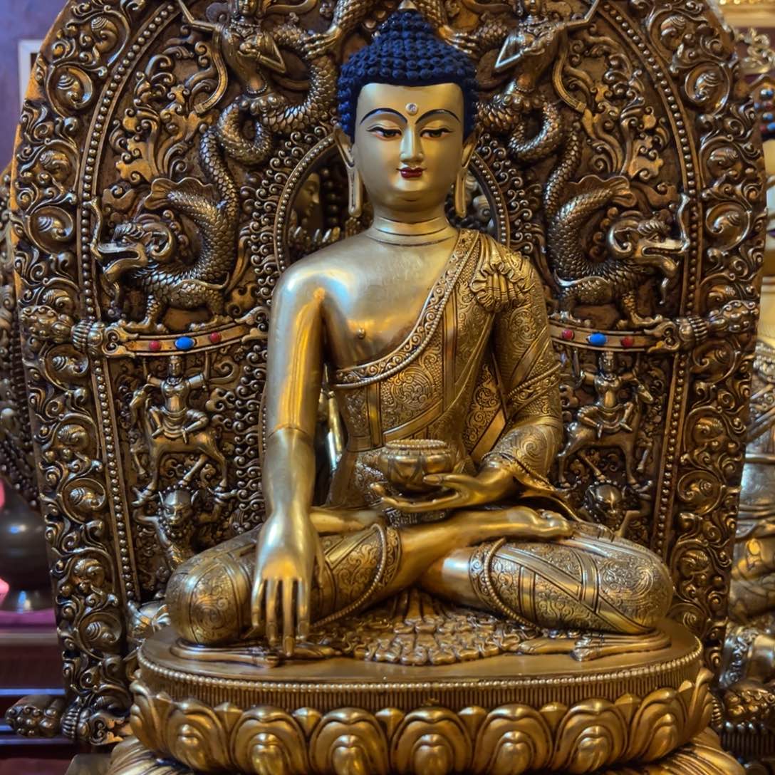 本***彤铜11111111111111