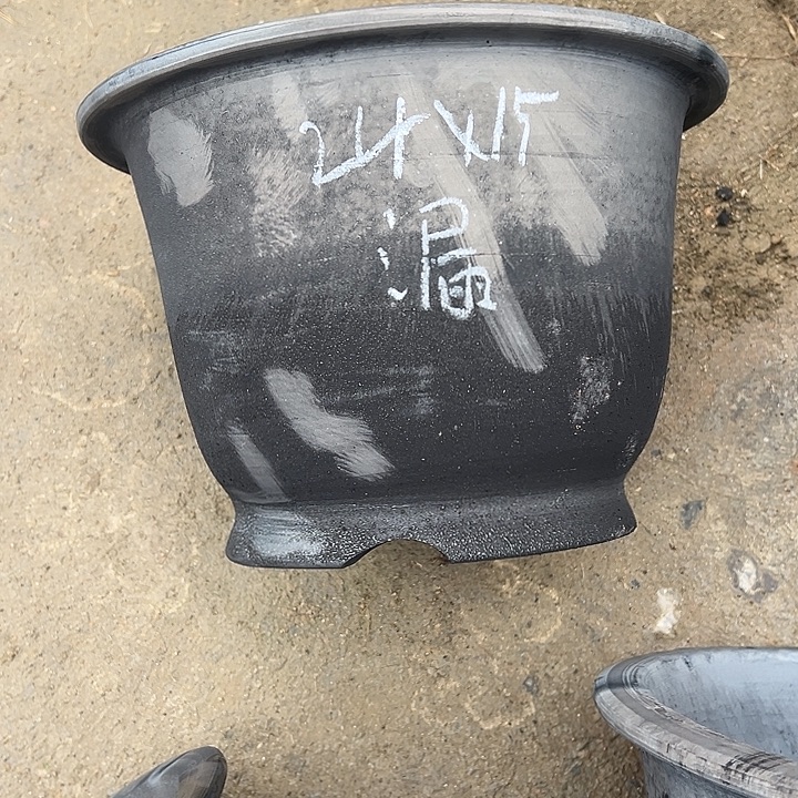 特价胖金钟放漏口径24高度15