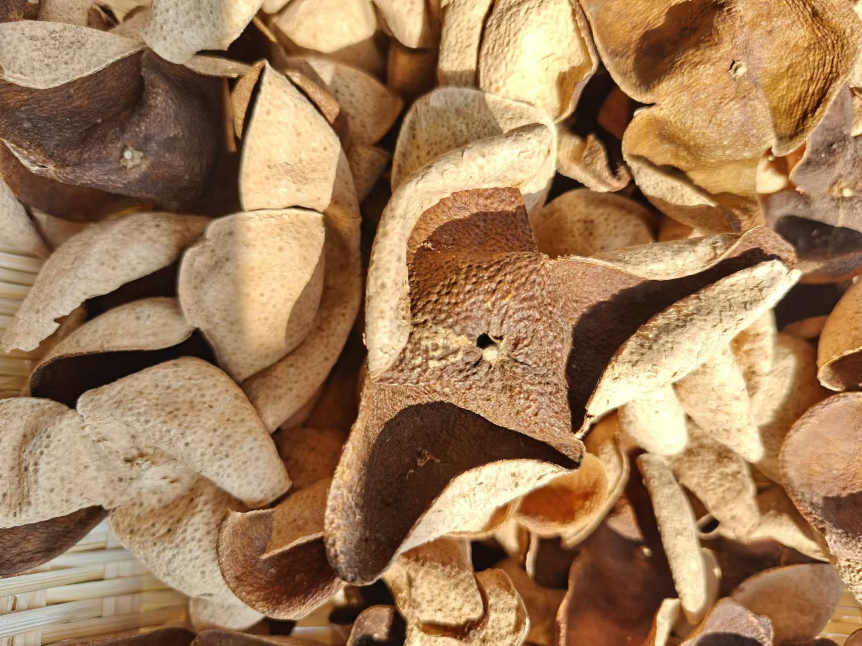 【新粉必拍】2017茶坑圈枝老青皮 新会陈皮 薄荷香  薄荷凉