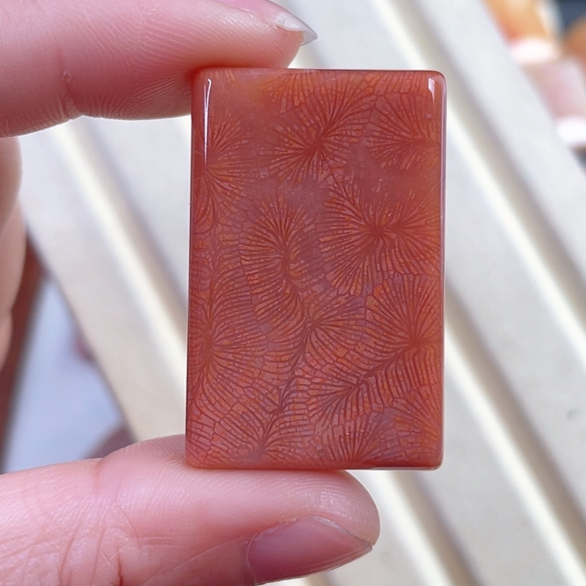 【闪购商品】硅化玉手串未镶嵌