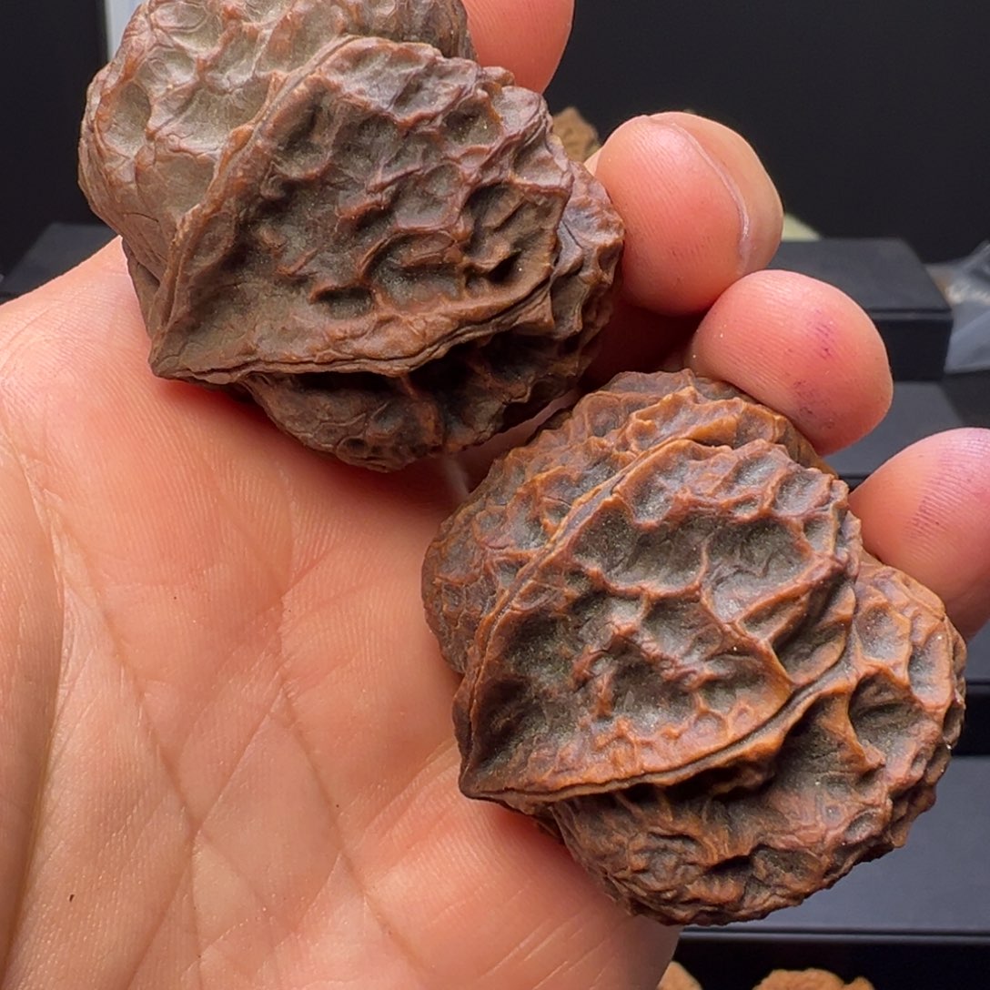 文玩核桃吊坠西南大刺生命之源43mm