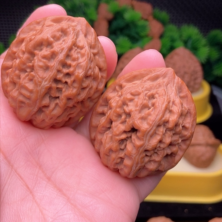 朗**坤凤凰台40全品11111