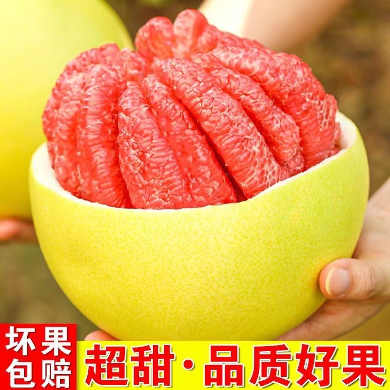 正宗福建馆溪红心蜜柚子当季新鲜红心蜜柚老树皮薄肉厚鲜嫩多汁