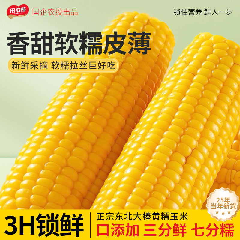 东北黄糯玉米25年新玉米真空包装健康粗粮粘玉米主食代餐