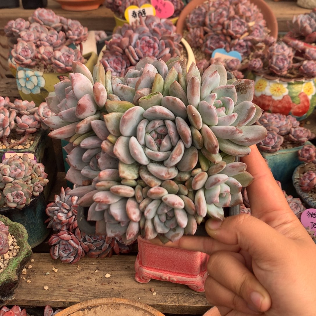 哈哈哈哈哈哈哈哈哈1