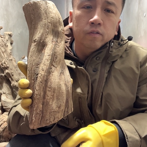 柏木9****0崖柏毛料的设计