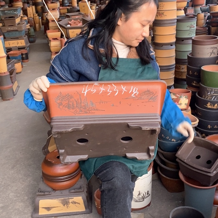 紫砂花盆盆栽花卉苗木种植