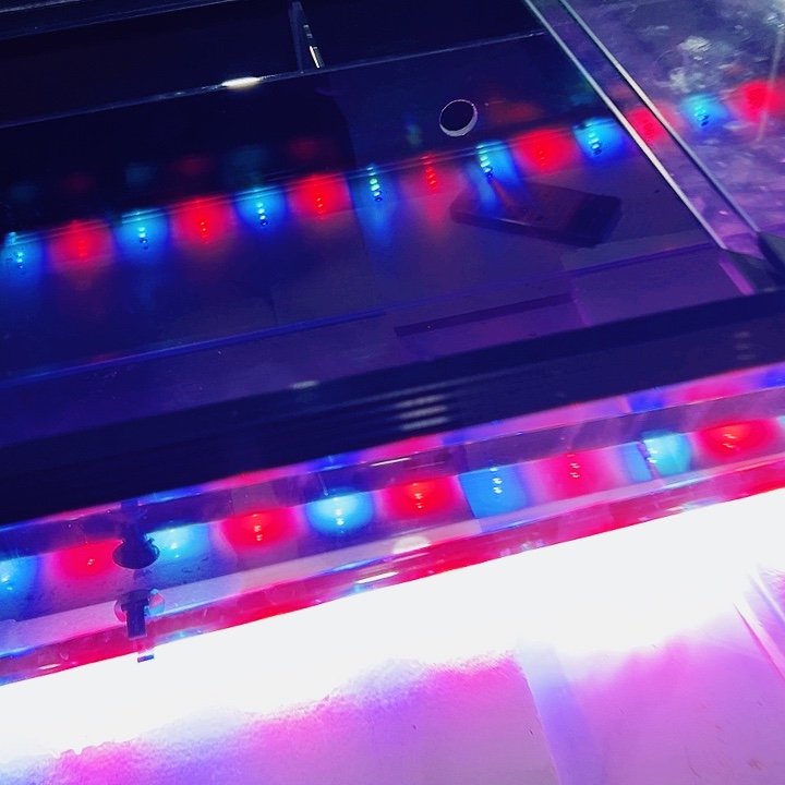 标***）玻璃100.40.40背双鱼马桶只要基础配件其他都不要