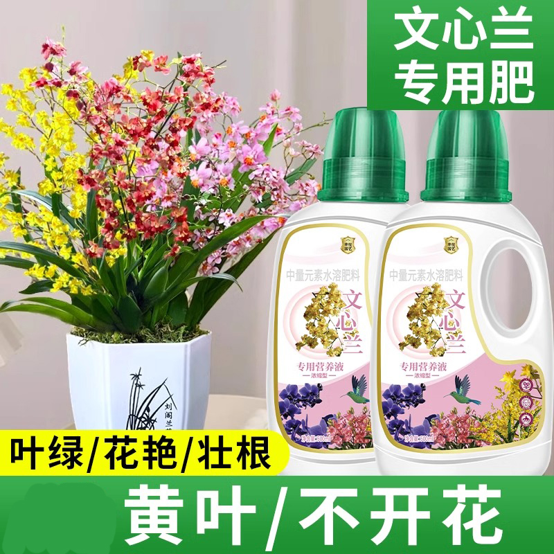 香水文心兰浓缩营养液花肥梦香兰跳舞兰专用肥兰花盆栽水溶液体肥