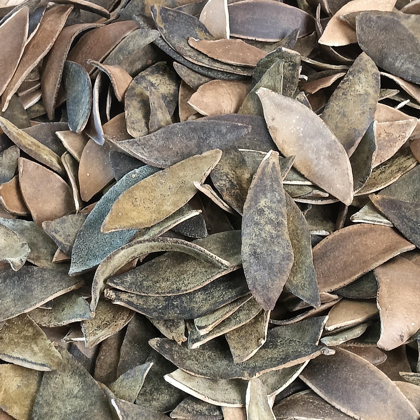 正宗化州化橘红三蒸三晒溥皮生晒皮2012年陈正毛橘红化州直发