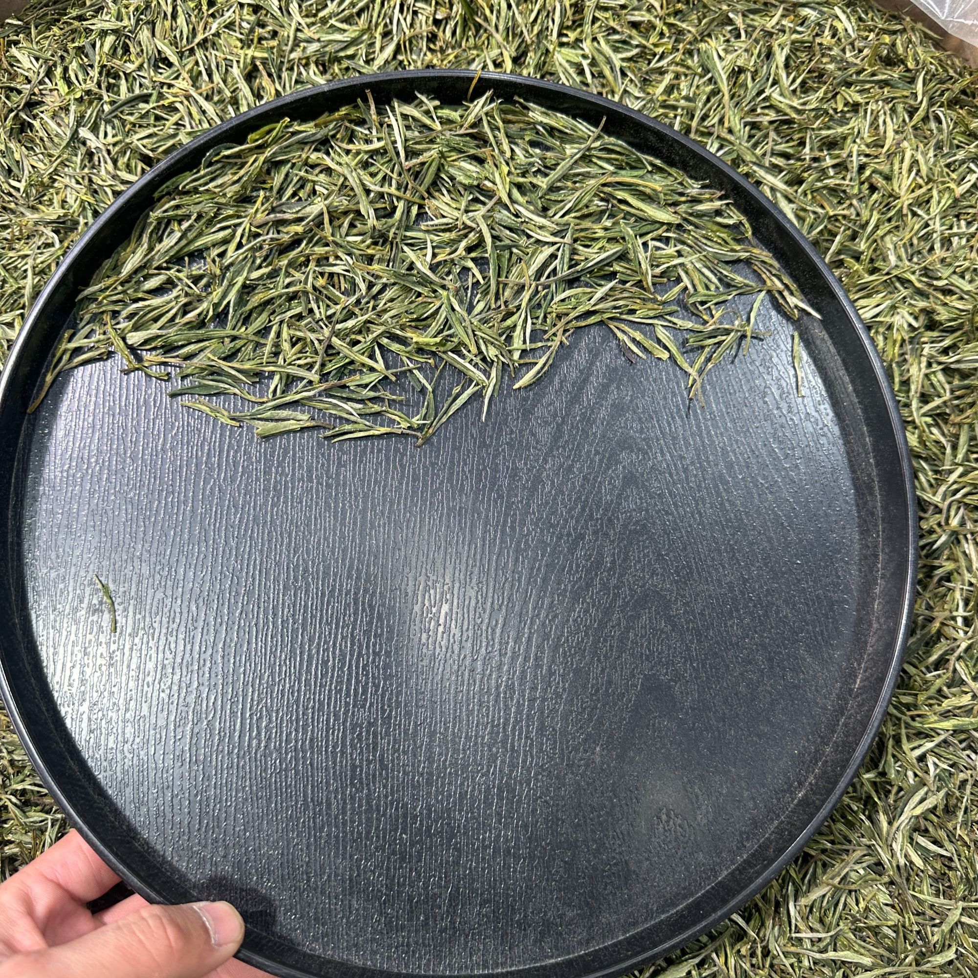 【霞姐】（C-228翠兰）2025年新茶味浓耐泡/临时链接