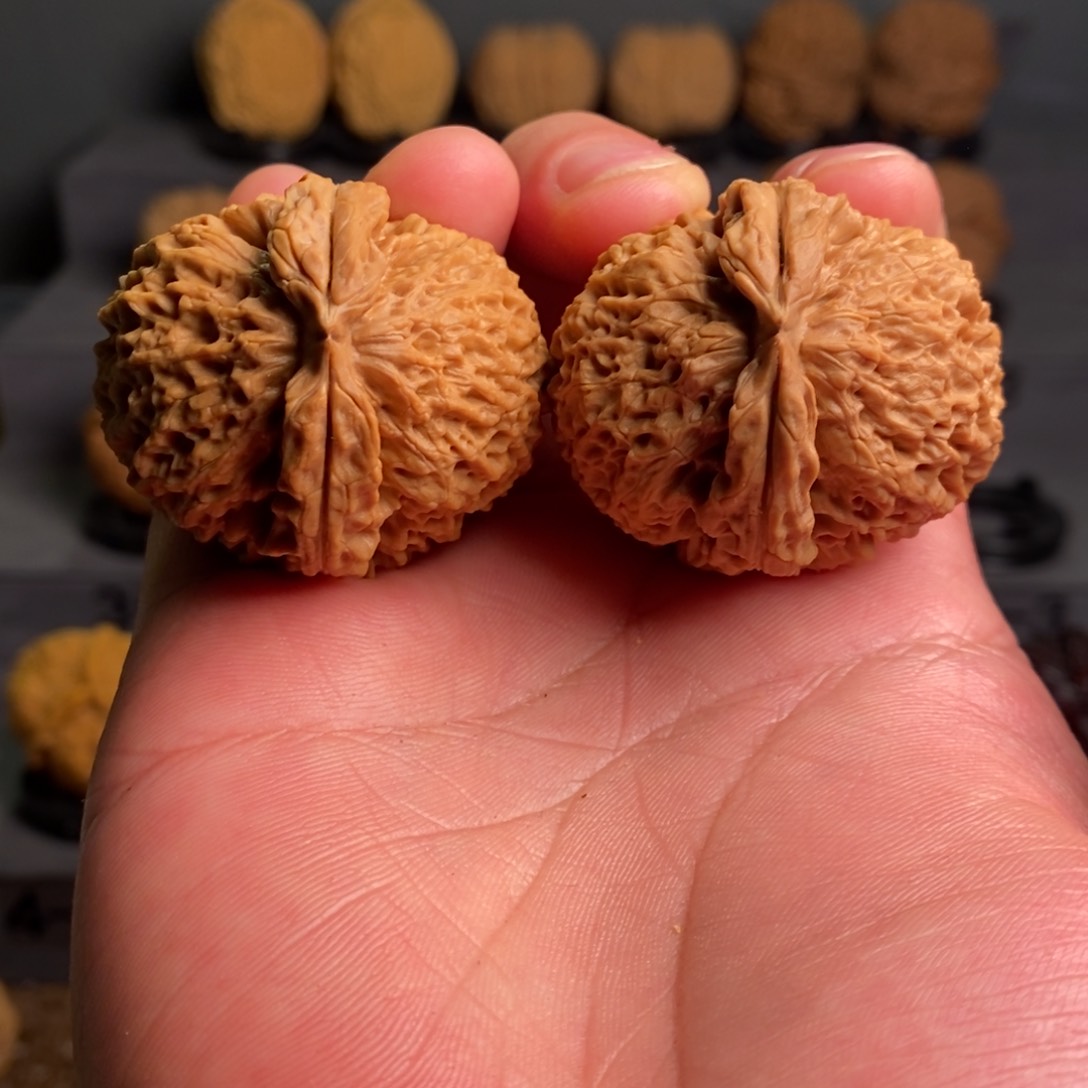 把件文玩核桃7*7臻龙