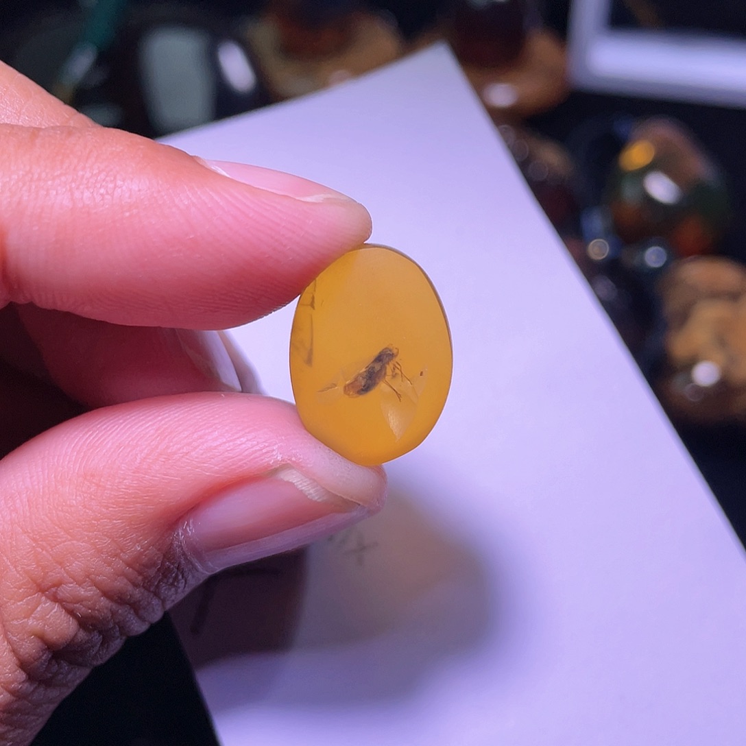 琥珀裸石未镶嵌，