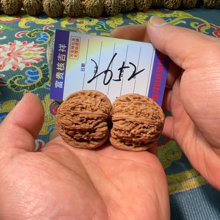 41尺寸凹的满拉斯团子