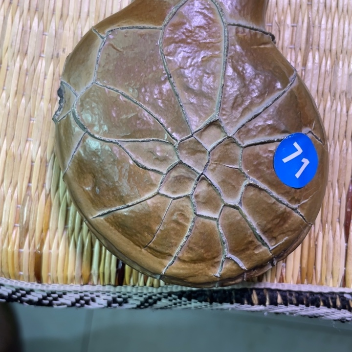 神***生核桃手串/手链龟纹石原石