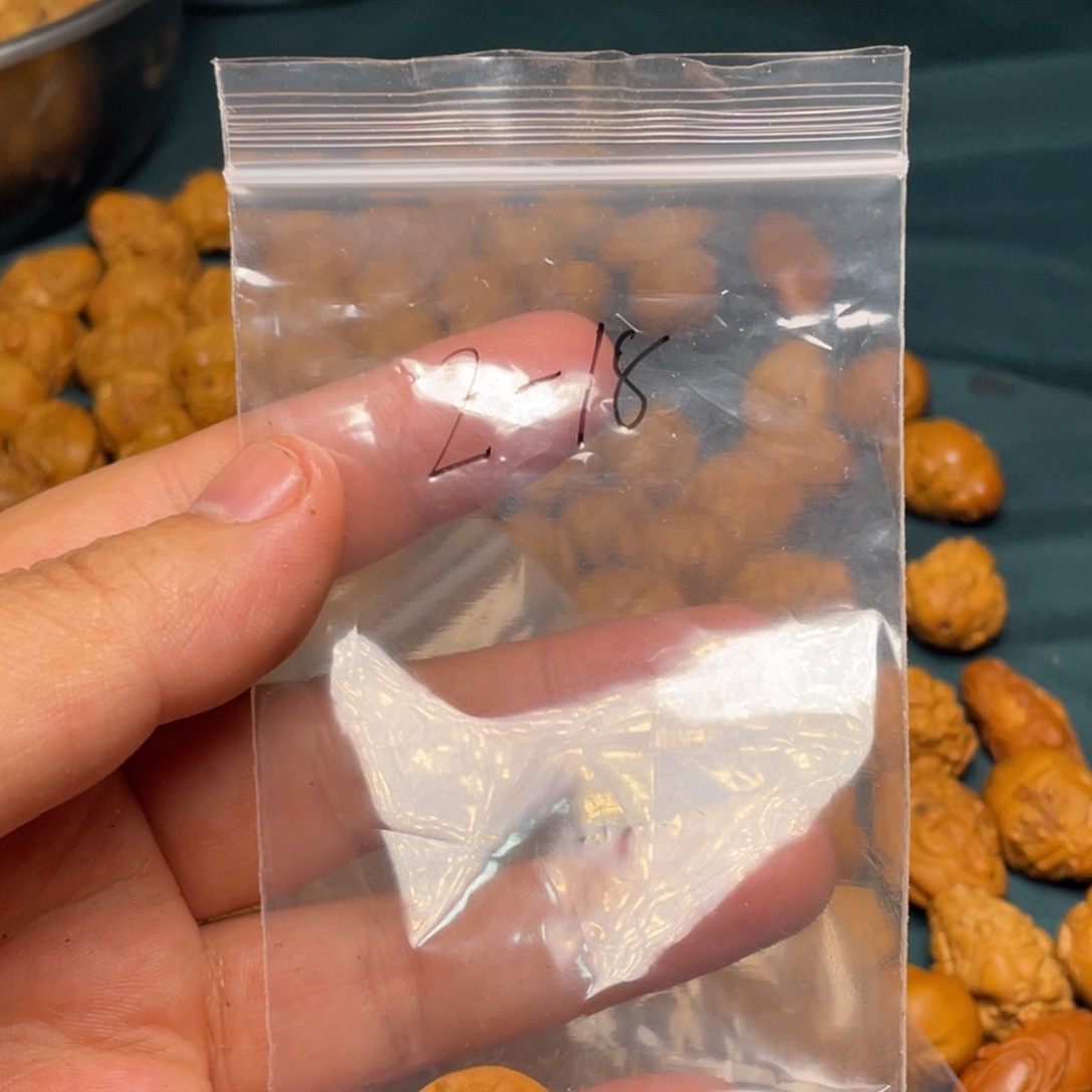 橄榄核吊坠橄榄核