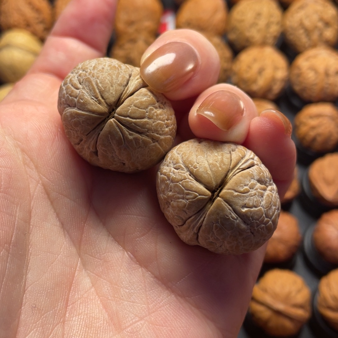 嗯***哦文玩核桃把件核桃