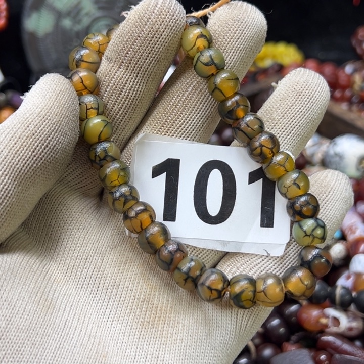 谢谢你的支持和信任