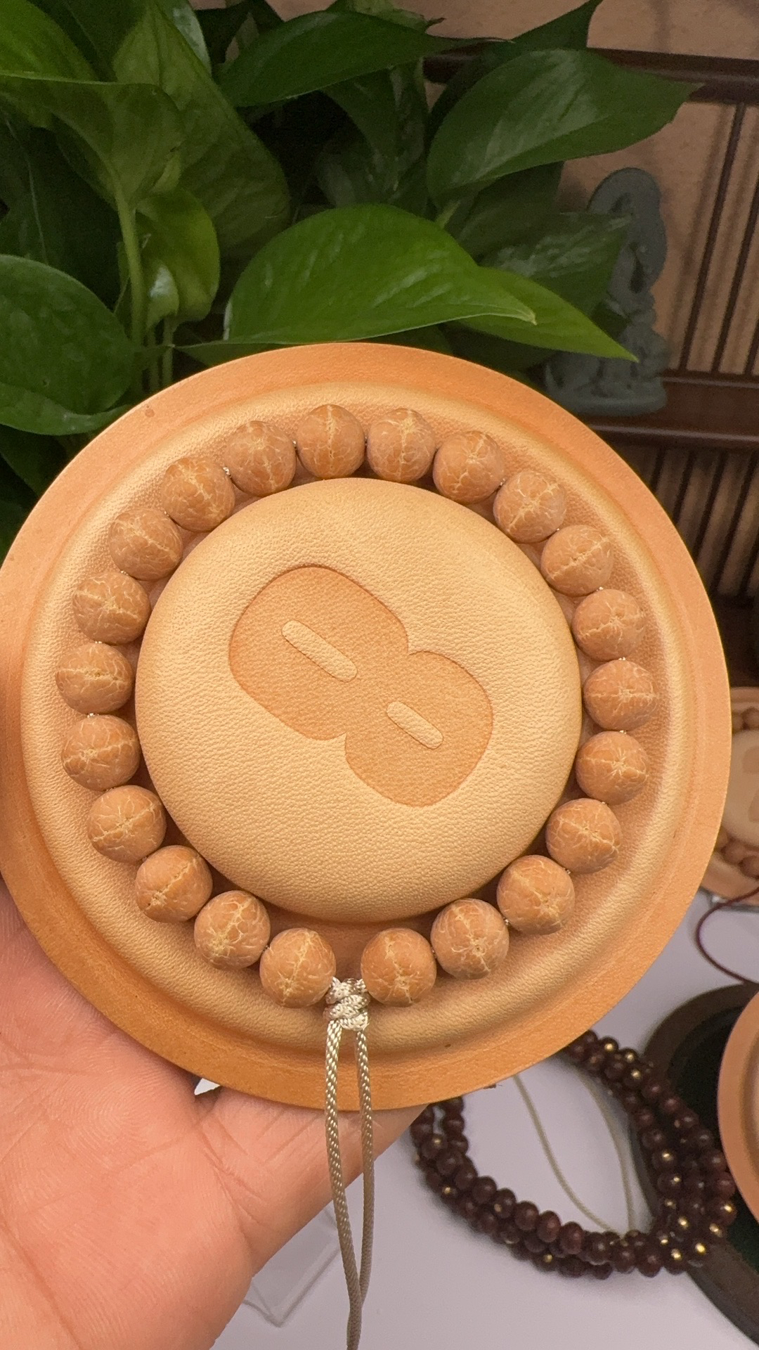 10MM大萌眼粉红皮凤眼同树实心籽