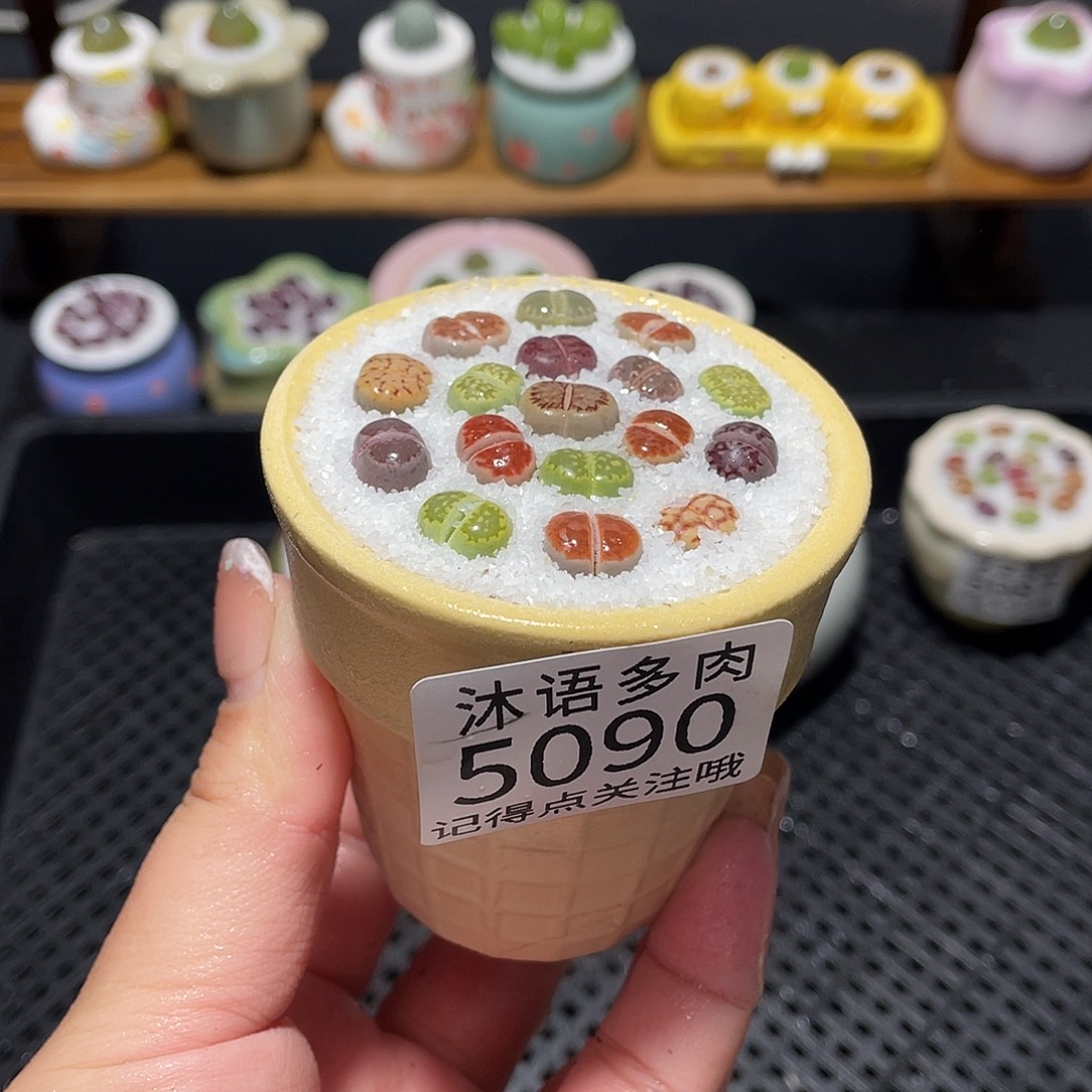 带盆土植物 一物一拍5090