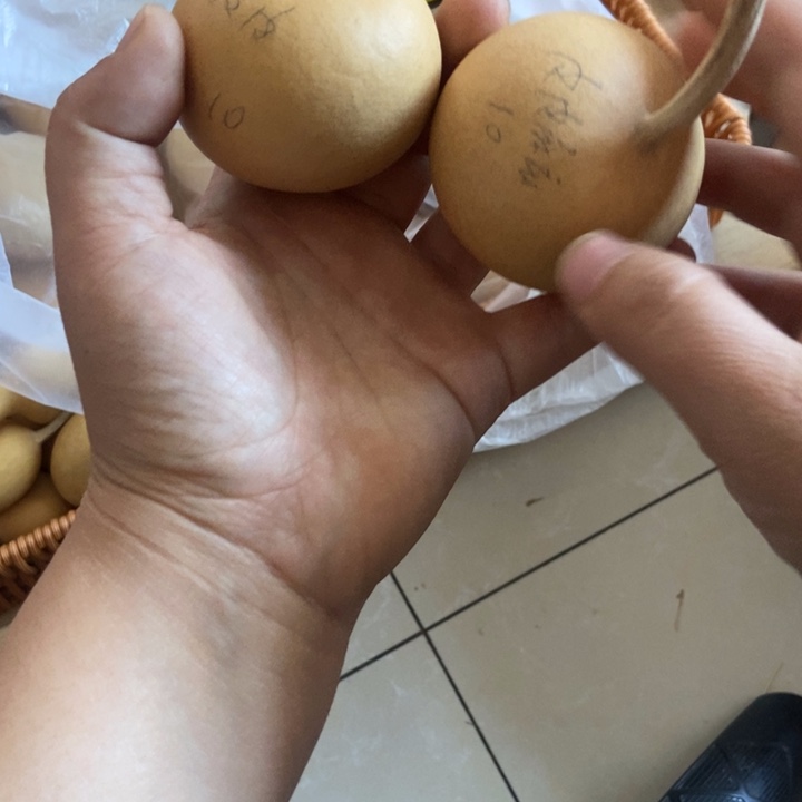 皮***麻皮皮麻麻恭喜发财