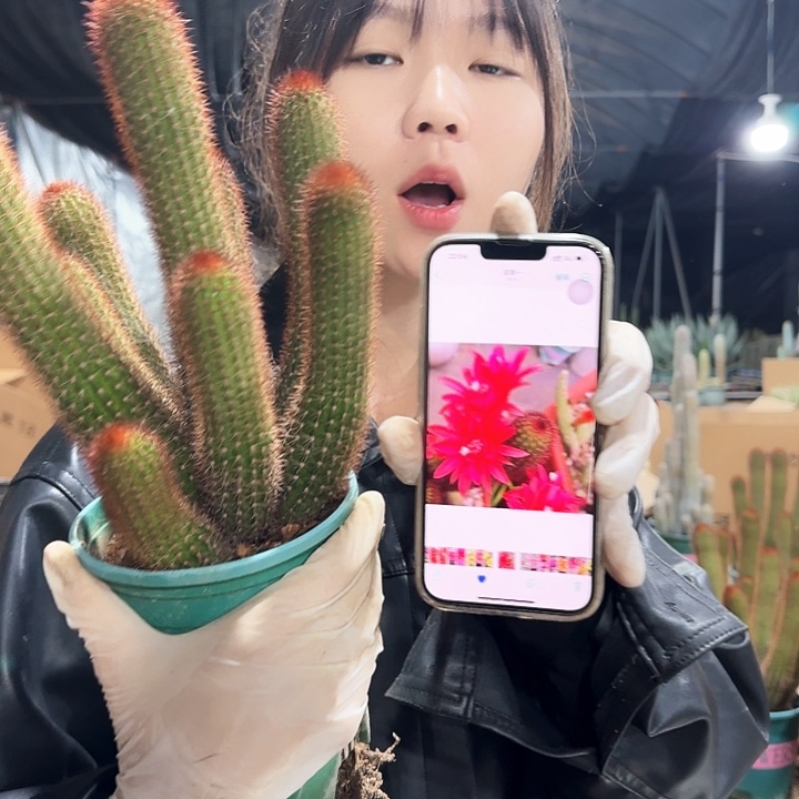 双色金妞111111111