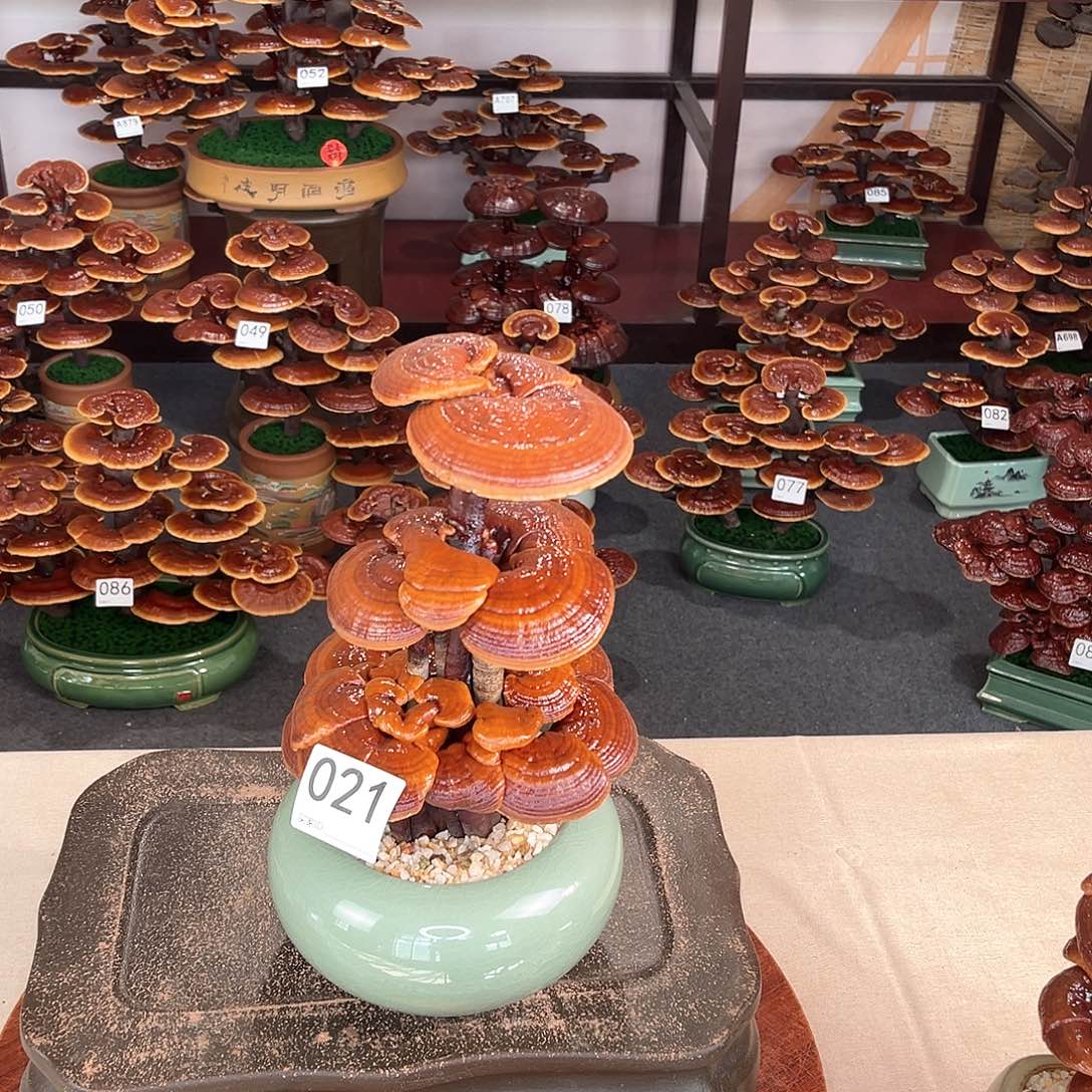 万事如意00000000021