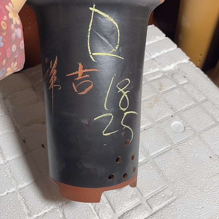 紫砂花盆宜兴紫砂兰花质量不错