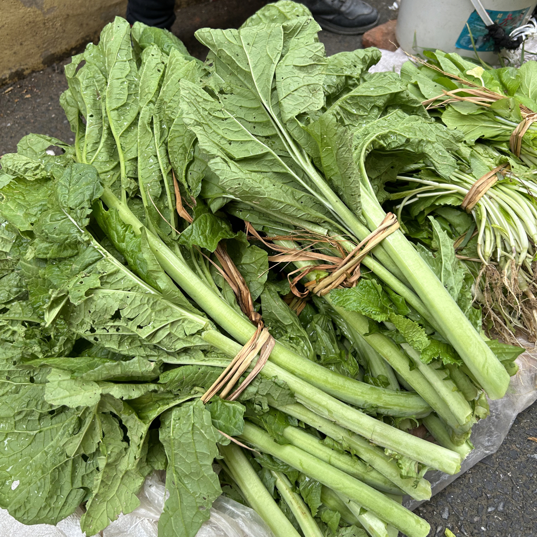 江西赣南（南康本地蔬菜农家蔬菜）