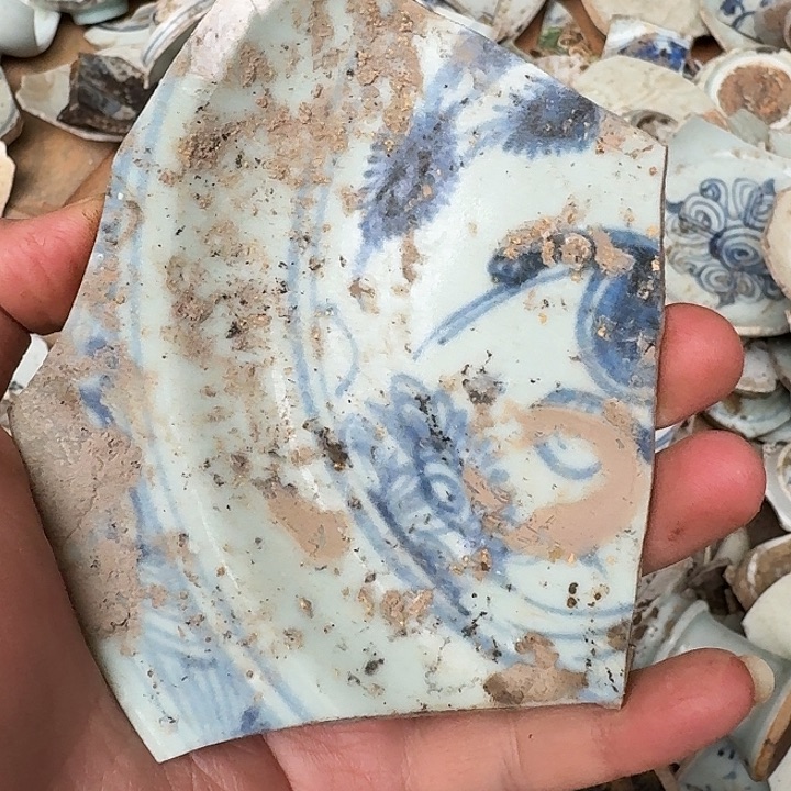 青****瓷片瓷片标本，顺丰包邮