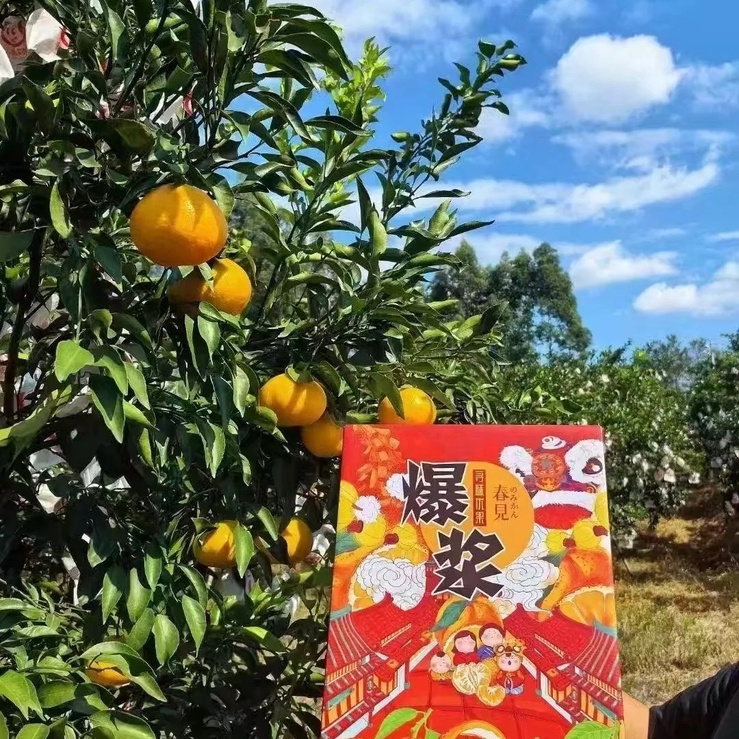 粑粑柑礼盒装纯天然口感不打糖8.5斤带箱真正的爆汁