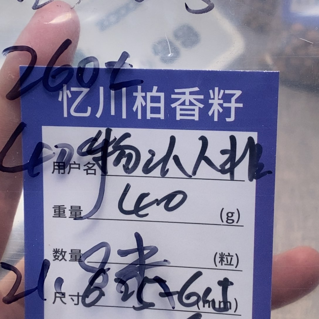 柏香籽/百香籽吊坠物**飛