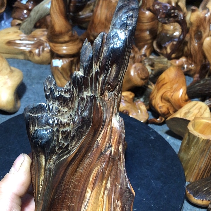 大***哥柏木（崖柏）崖柏49