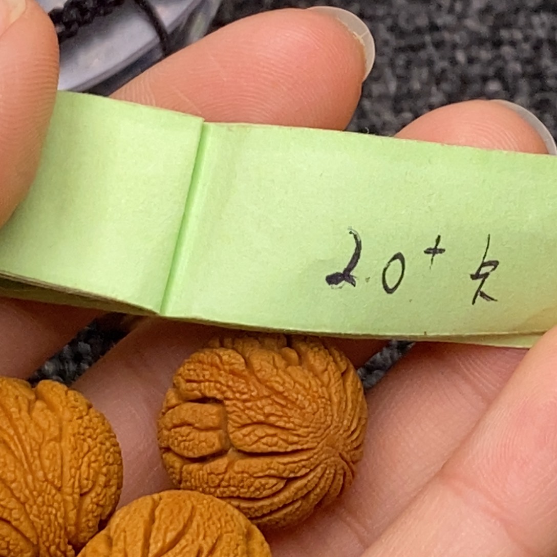 秦岭山脉龙纹桃核 13