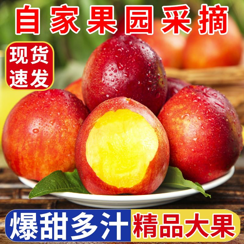 【黄心油桃】云南油桃高原产地直发酸甜多汁正宗黄心水果露天种植