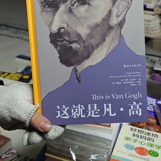 这就是凡高库存书