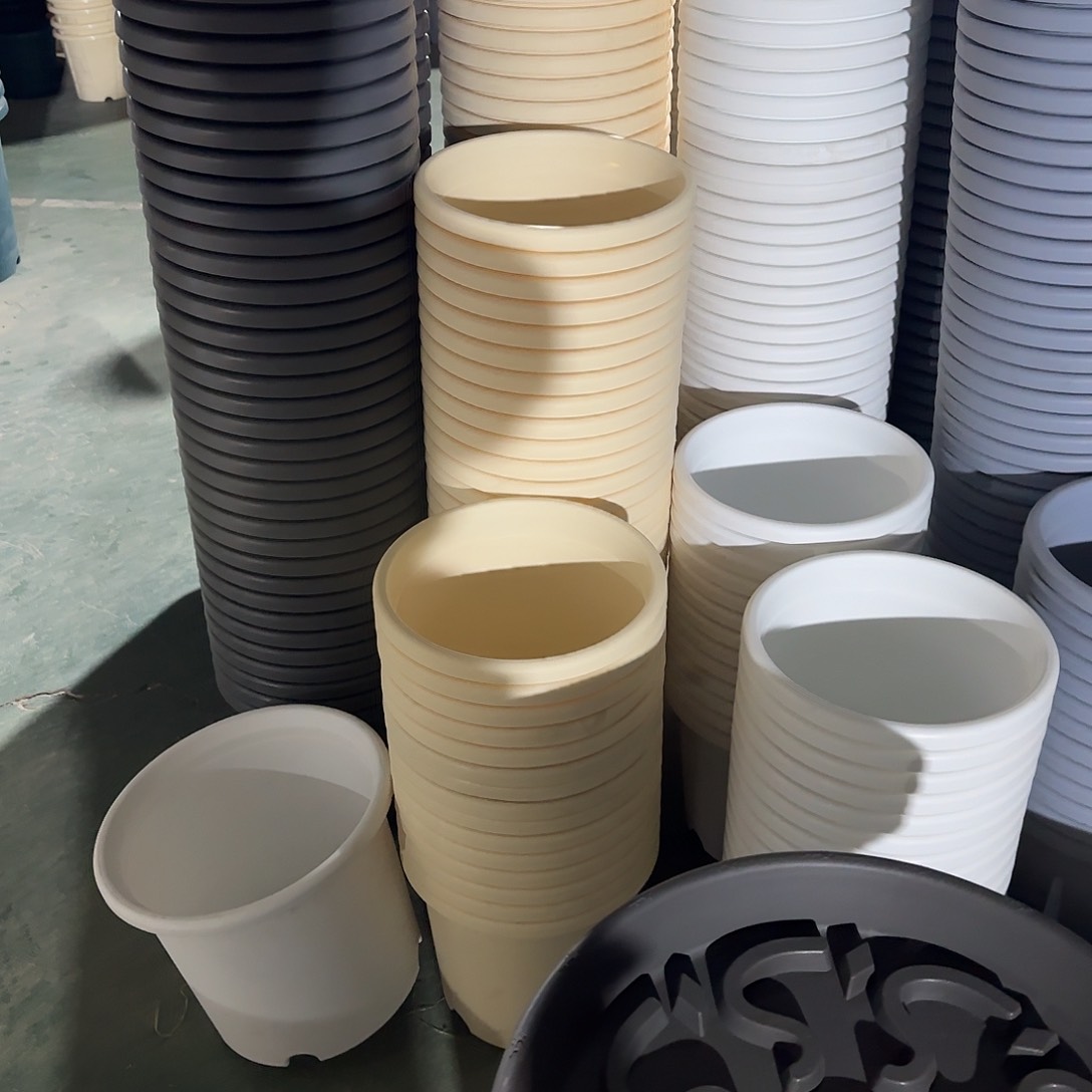 树脂四季6号带托5个白色微瑕