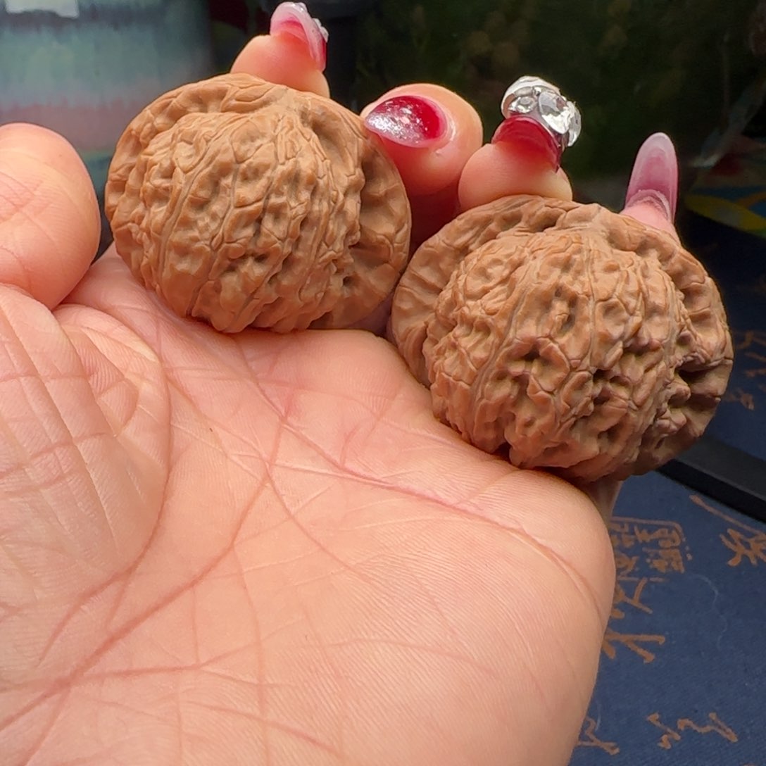 核桃46核桃闷白狮子头