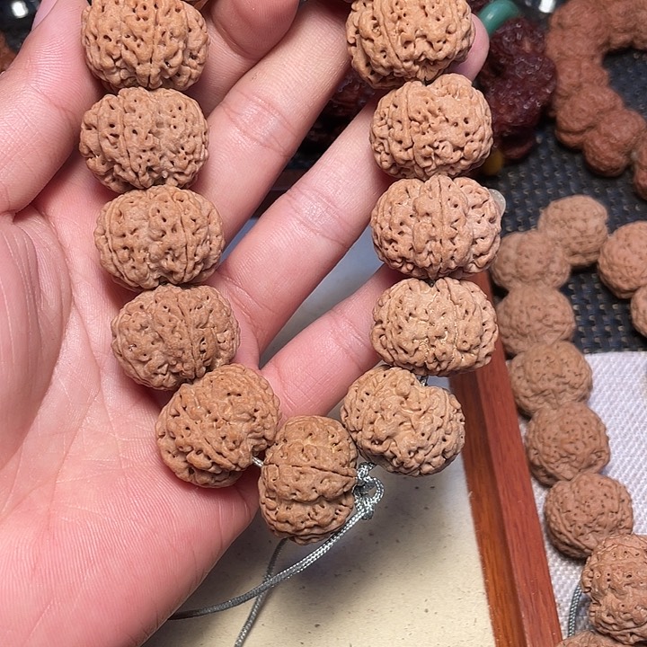 金刚菩提吊坠中*尼泊尔大金刚菩提