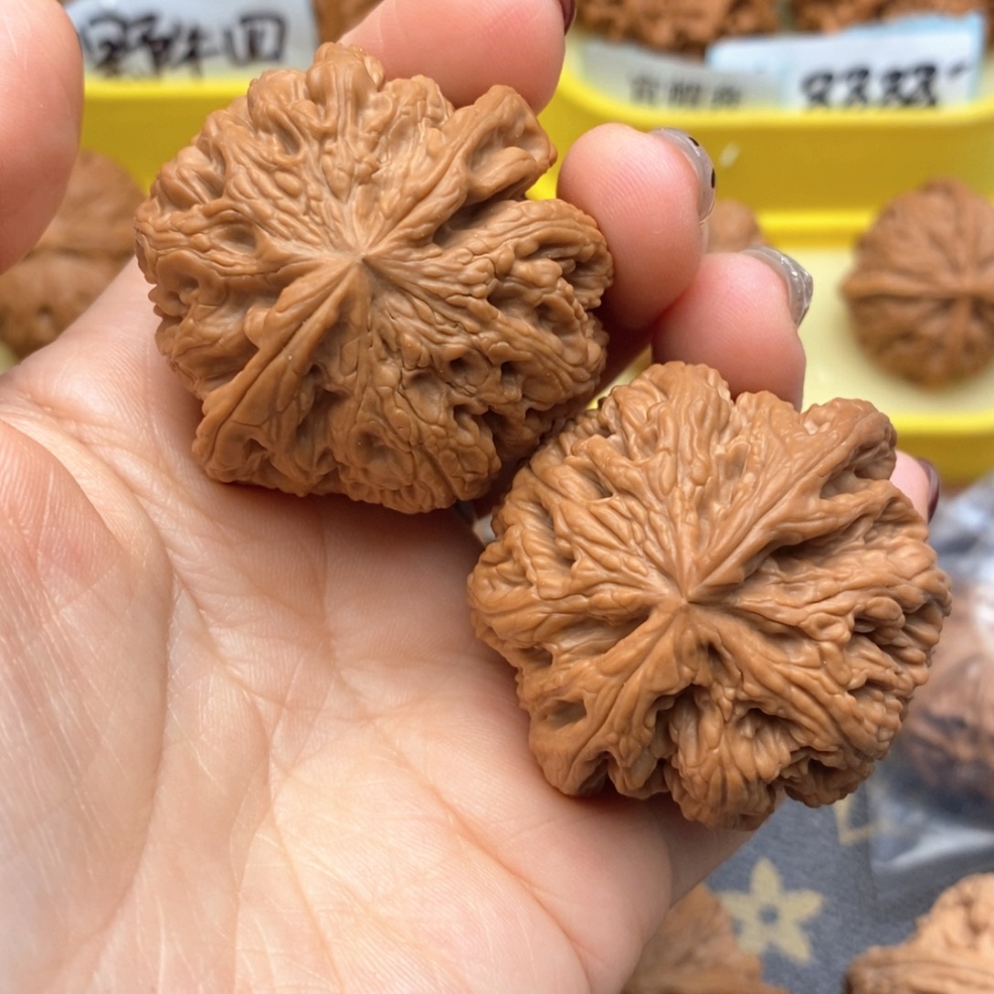 我***的文玩核桃把件509号粗筋
