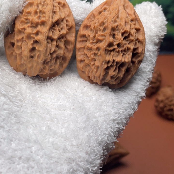 敷***衍秦核等人的故事也在这里展开