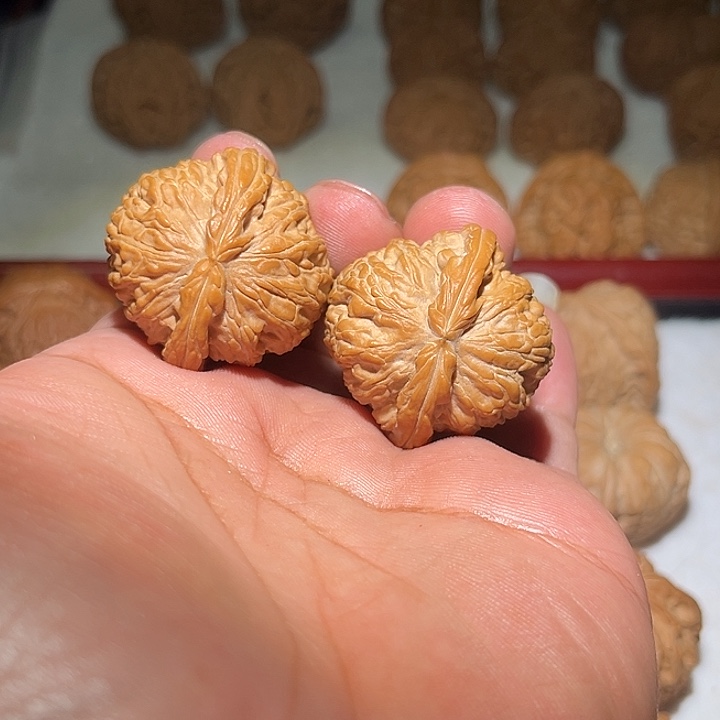 王***叔木36百狮子。       