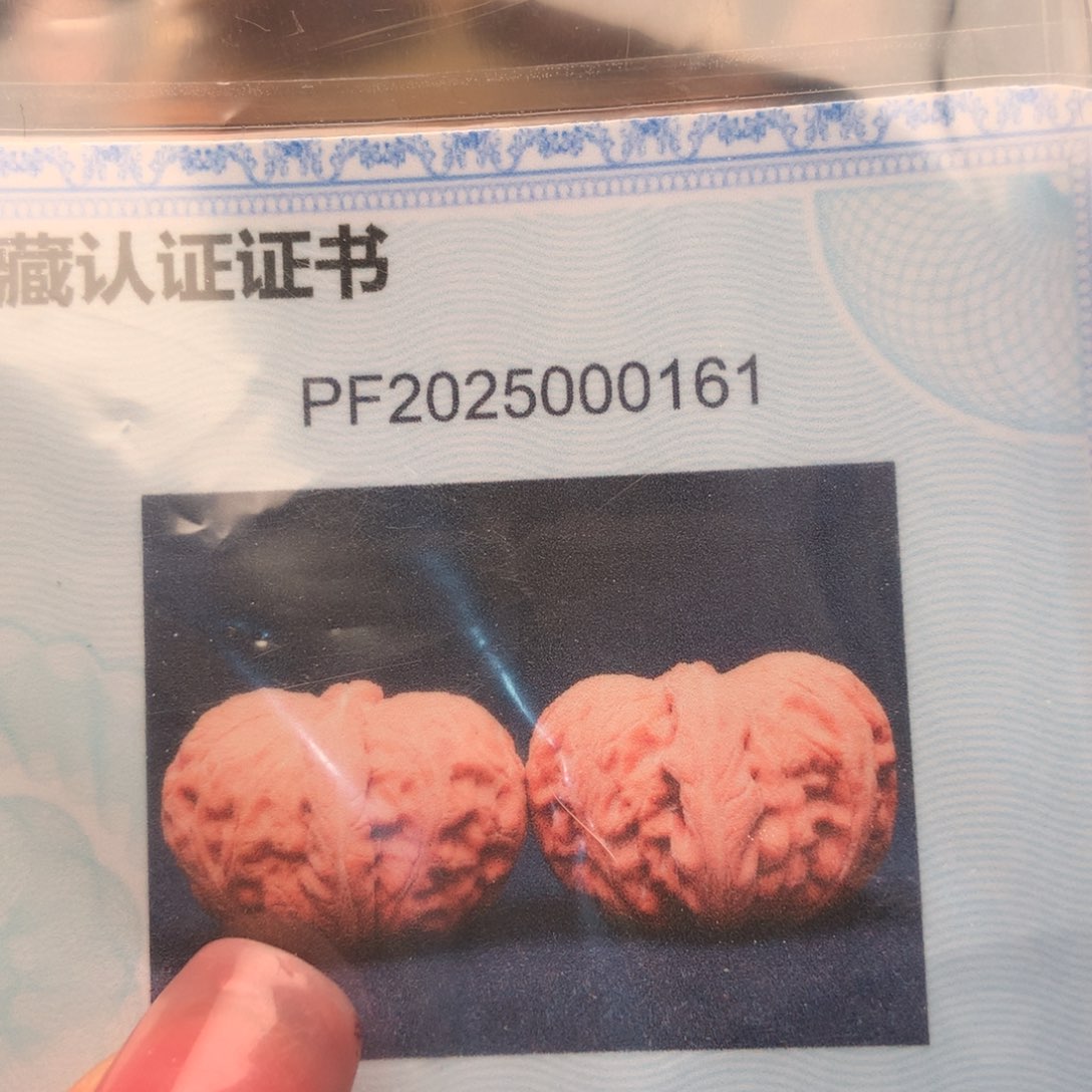 文玩核桃把件43元宝