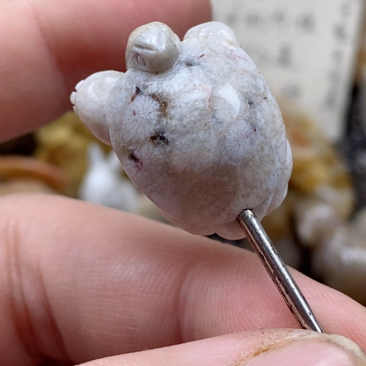 颈饰未镶嵌硅化珊瑚（珊瑚玉）小