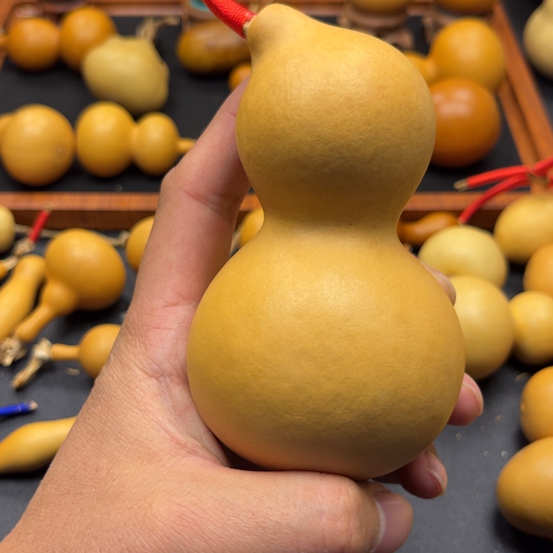 苏*葫芦葫芦葫芦葫芦