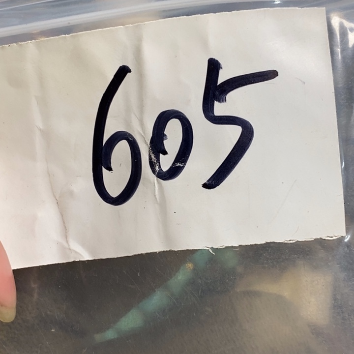 吾***悟娜娜文玩杂项专属链接