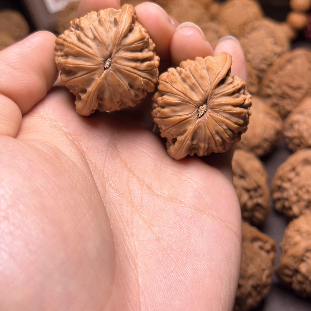 孙*生磨盘磨盘磨盘磨盘