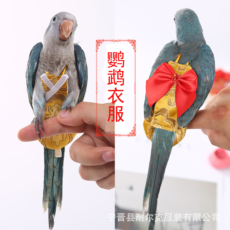 鹦鹉衣服飞行衣小鸟虎皮玄风屎兜尿不湿尿裤用品