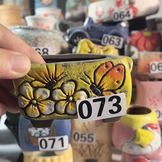 红陶多肉植物花盆